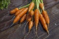 Organic carrots washed on a wooden work bench outside in the sunshine Royalty Free Stock Photo