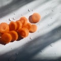 Carrots with water drops in a narrow light. Square photo image.