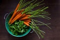 Carrots and Watercress in Colander on Wood Table