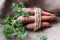 Carrots on wooden background