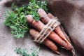 Carrots on wooden background