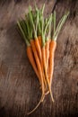 Carrots on a wooden background