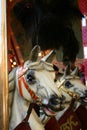 Carroussel horses Royalty Free Stock Photo