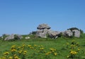 Carrowmore Royalty Free Stock Photo