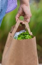 Carrying a healthy bag. Cropped image of a woman holding paper shopping bag full of fresh vegetables Royalty Free Stock Photo