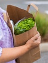 Carrying a healthy bag. Cropped image of a woman holding paper shopping bag full of fresh vegetables Royalty Free Stock Photo