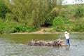 Carrying sugarcane by a bamboo raft