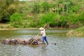 Carrying sugarcane by a bamboo raft