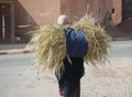 Carrying Wheat