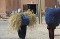 Carrying Wheat