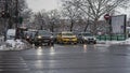 Cars covered in snow, first day of winter