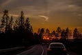 cars drive along a suburban highway in the evening during sunset. Dark silhouettes of trees against the background of the colorful