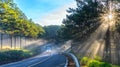 Cars driving on the country asphalt road through pine forests