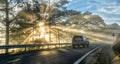 Cars driving on the country asphalt road through pine forests