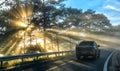 Cars driving on the country asphalt road through pine forests