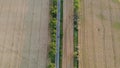 Cars driving road with trees between large fields yellow ripened wheat in summer Royalty Free Stock Photo