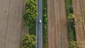 Cars driving road with trees between large fields yellow ripened wheat in summer Royalty Free Stock Photo
