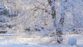 Cars go on the road after snowfall