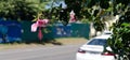 Cars and hibiscus flowers in Hawi