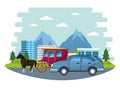 Cars and horse carriages vehicles Royalty Free Stock Photo