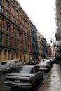 New York Brownstones Neighborhood