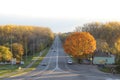 Cars moving on a road, autumnal forest as a background