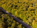 Cars moving on road between colorful autumn forests. Aerial drone view. Theme of travel and car rental Royalty Free Stock Photo