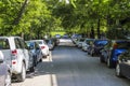 Cars parked on the asphalt street under the trees in daylight in summer day