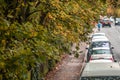 Cars parked on the side of road in autumn