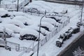 Cars on parking and street covered with big snow layer. View of winter and snowing on city street with snowflakes.