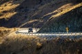 Cars are running on curvy roads and up hills. On the side of the road there is a yellow