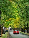 Cars on a rural alleyway