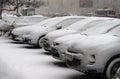 Cars snow
