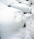 Cars under the snow Royalty Free Stock Photo