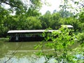 Boat in the swamp