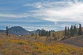 Carson Pass Royalty Free Stock Photo