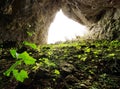 Cioclovina Cave in the Carstic Ponorici - Cioclovina Complex Royalty Free Stock Photo