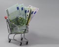 Cart with euro banknotes of various denominations 6