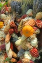 Cart filled Bountiful Autumn Harvest Royalty Free Stock Photo