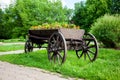 Cart with flowers