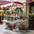 Cart with flowers: primroses, hyacinths, campanella, rose, geranium, daffodil decorates the entrance to the flower shop
