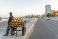 Cart full of coconuts by the street in Mapouto, Mozambique