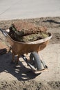 Cart full of new lawn sod Royalty Free Stock Photo