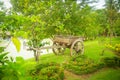 The cart in a green park Royalty Free Stock Photo