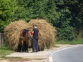 Cart with hay in Oltenia region, Romania Royalty Free Stock Photo