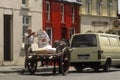 Cart and horse, Eyeries Village, West Cork, Ireland