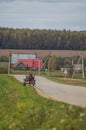 A cart with a horse in a Russian village. Royalty Free Stock Photo