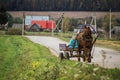 A cart with a horse in a Russian village. Royalty Free Stock Photo