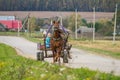 A cart with a horse in a Russian village. Royalty Free Stock Photo