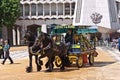 Cart marking Ceremony Guildhall Yard London.